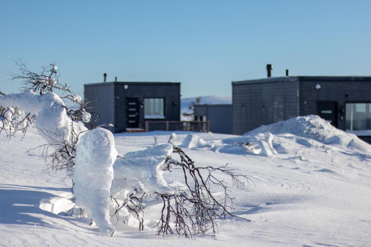Top Star Saariselkae - Arctic Glass Cubes Екстер'єр фото